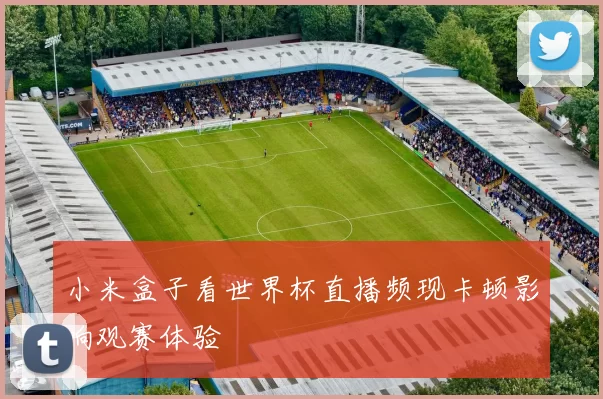 小米盒子看世界杯直播频现卡顿影响观赛体验