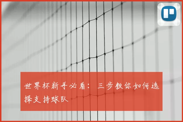 世界杯新手必看:三步教你如何选择支持球队