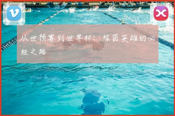 从世预赛到世界杯:绿茵英雄的必经之路