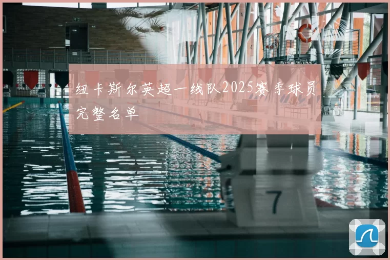 纽卡斯尔英超一线队2025赛季球员完整名单