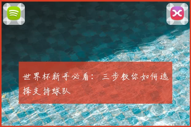 世界杯新手必看:三步教你如何选择支持球队