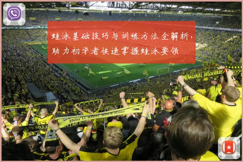 蛙泳基础技巧与训练方法全解析,助力初学者快速掌握蛙泳要领