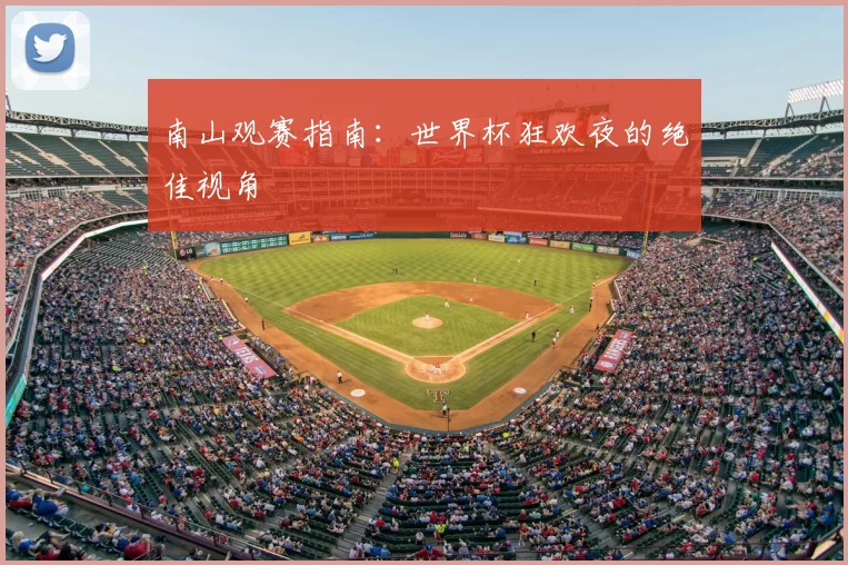 南山观赛指南:世界杯狂欢夜的绝佳视角
