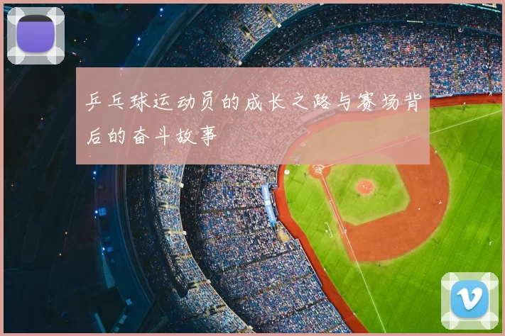 乒乓球运动员的成长之路与赛场背后的奋斗故事