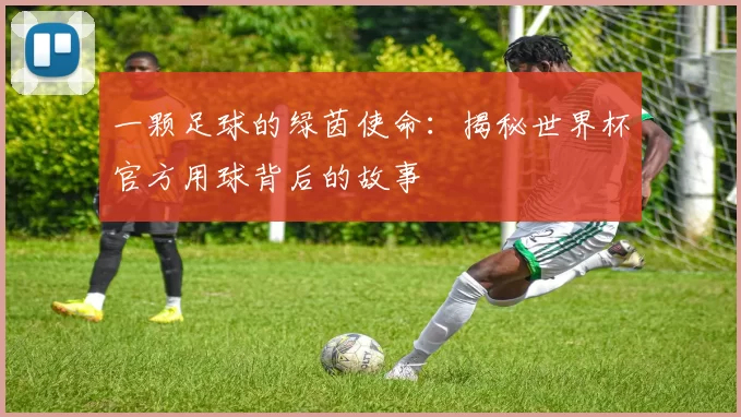 一颗足球的绿茵使命：揭秘世界杯官方用球背后的故事