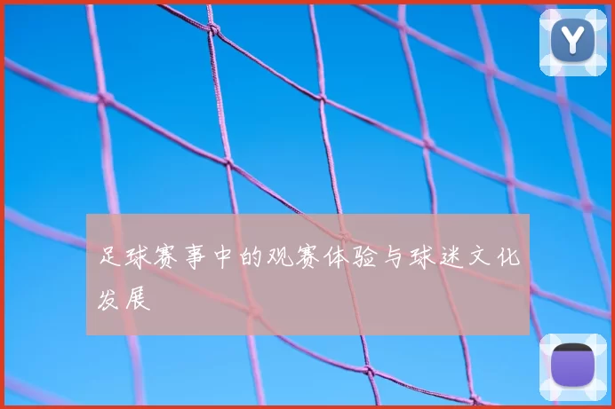 足球赛事中的观赛体验与球迷文化发展
