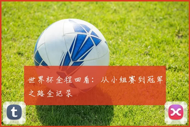 世界杯全程回看:从小组赛到冠军之路全记录