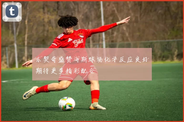 东契奇盛赞海斯球场化学反应良好期待更多精彩配合