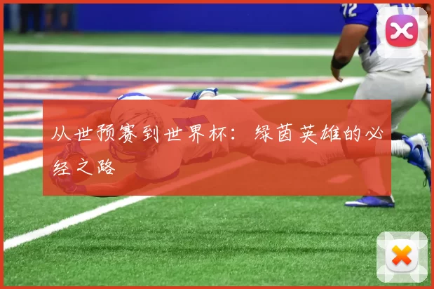 从世预赛到世界杯:绿茵英雄的必经之路