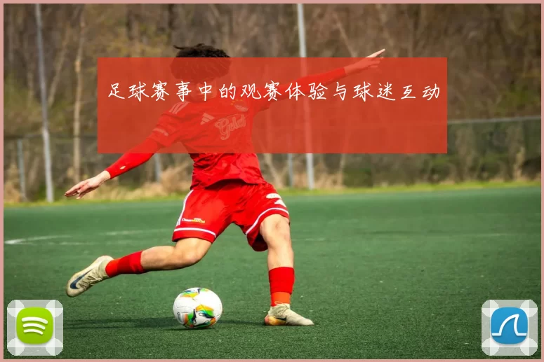 足球赛事中的观赛体验与球迷互动