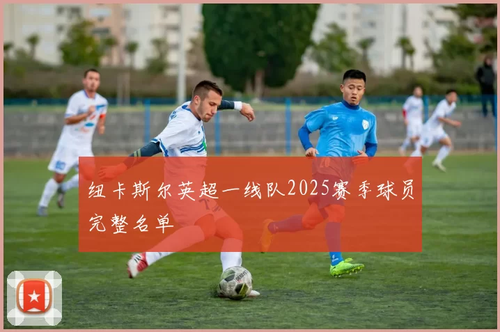 纽卡斯尔英超一线队2025赛季球员完整名单