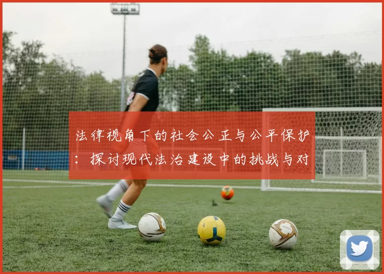 法律视角下的社会公正与公平保护：探讨现代法治建设中的挑战与对策