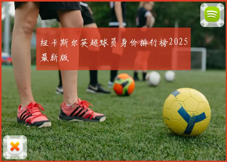 纽卡斯尔英超球员身价排行榜2025最新版