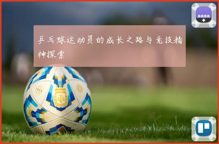 乒乓球运动员的成长之路与竞技精神探索