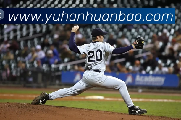 十大信誉好的平台APP 封面图